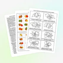 Игра для развития пространственного мышления 
