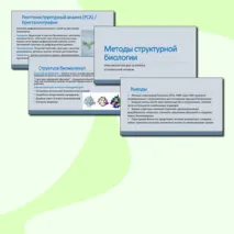 Презентация на тему 