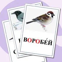 Картинный словарь по русскому языку для 1 класса