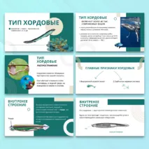Презентация «Тип Хордовые» к учебнику по биологии для 7 класса- Пасечник В.В., Суматохин С.В. и др.