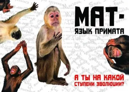 http://img11.nnm.me/9/7/c/7/d/e61a416fb2855b3801d8a2e4e1a.jpg