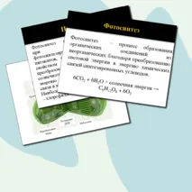 Презентация по биологии на тему 