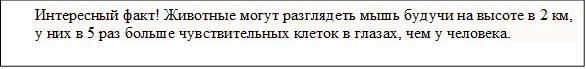 Интересный факт! Животные могут разглядеть мышь будучи на высоте в 2 км, у них в 5 раз больше чувствительных клеток в глазах, чем у человека.

