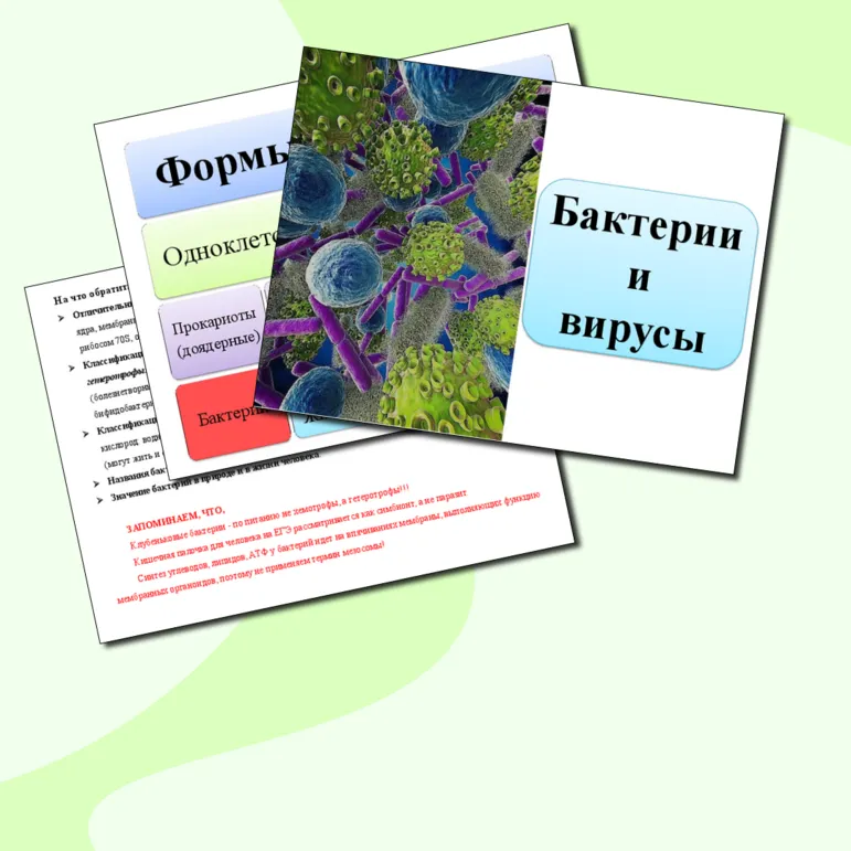 Презентация 