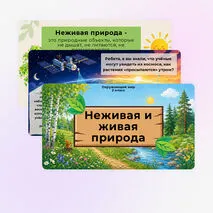 «Неживая и живая природа. Явления природы» презентация к уроку окружающего мира во 2 классе