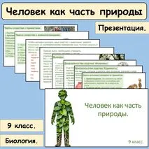 Презентация 