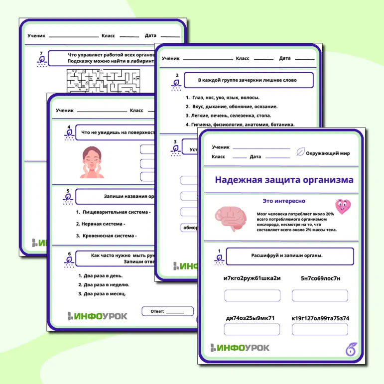 Рабочий лист по окружающему миру 