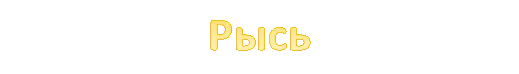 Рысь 