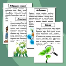 Оформление доски 