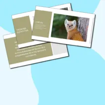Презентация 
