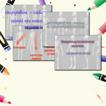 Комплект материалов по теме «Соединение костей. ОДС человека» (презентация+конспект) Биология 9 класс (углубленный уровень)