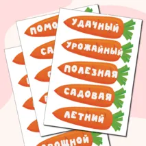 Дидактическая игра 