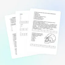 Тестирование по теме: «Опорно-двигательная система».