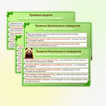 Презентация по ОБЗР по теме: «Правила безопасного поведения в природной среде». 9 класс.