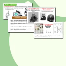 Презентация по биологии 