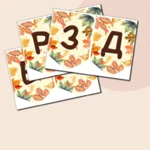 Флажки-растяжка 