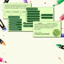 «Растительные ткани, их функции», 6 класс