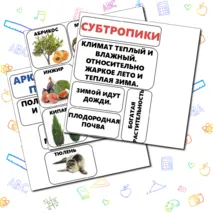 Природные зоны