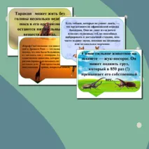 Речевые облачка 
