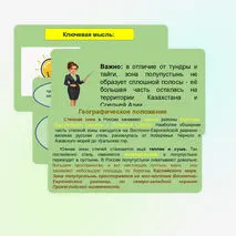 Характеристика природных зон: степи и полупустыни. Связь природных зон.