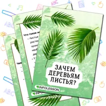 Папка-передвижка «Зачем деревьям листья?»