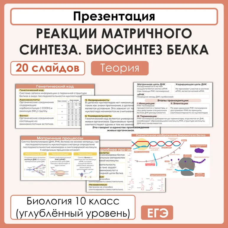 Презентация «Реакции матричного синтеза. Биосинтез белка»