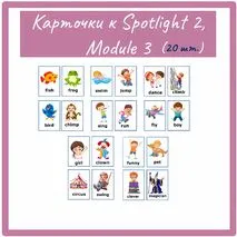 Spotlight 2. Карточки к Spotlight 2. Модуль 3 .