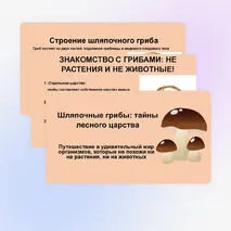 Презентация 