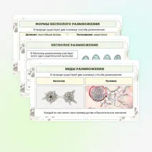 Презентация по биологии «Формы размножения животных»