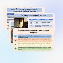 Презентация по биологии «История и методы изучения клетки. Клеточная теория», 10 класс (базовый уровень)
