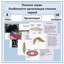 Презентация по биологии 