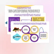 Презентация «Хрящевые и костные рыбы». Биология 8 класс.