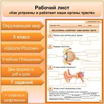 Рабочий лист по теме 