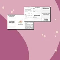 Рабочий лист для уроков литературного чтения в 3 классе по творчеству А.С. Пушкина на примере отрывков из романа 