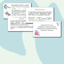 Презентация по теме 