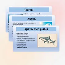 Презентация по биологии «Хрящевые и костные рыбы» 8 класс