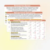 Презентация «Реакции матричного синтеза. Биосинтез белка»