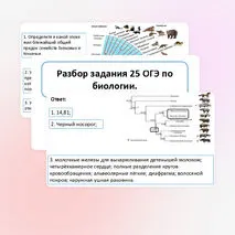 Презентация «Разбор задания 25 ОГЭ по биологии».