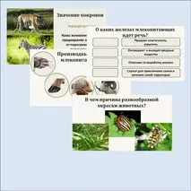 Комплект (презентация + рабочий лист) «Покровы тела животных. Практическая работа «Изучение покровов тела у животных» 8 класс