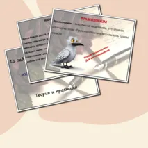 Презентация + проверочная работа по 11 заданию ОГЭ «Художественные средства выразительности»
