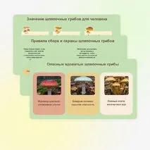 Презентация 