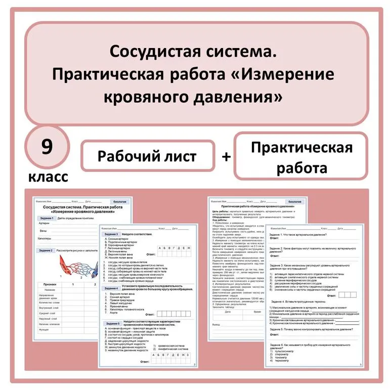 Комплект по биологии (рабочий лист + практическая работа) 