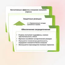 Презентация на тему 