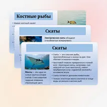 Презентация по биологии «Хрящевые и костные рыбы» 8 класс