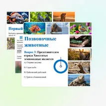 Квиз по теме 