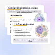 Презентация 