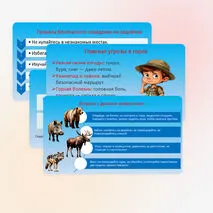 Презентация 