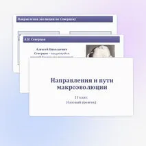 Комплект (презентация + рабочий лист) 