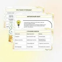 Презентация по биологии «Углеводы. Липиды