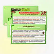 Презентация по ОБЗР по теме: «Правила безопасного поведения в природной среде». 9 класс.